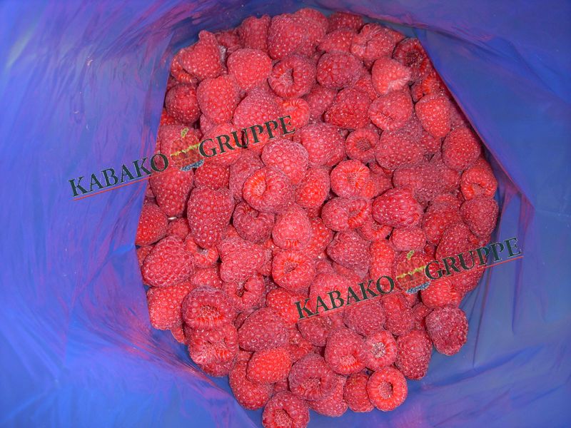 Frozen (IQF) Raspberries 11